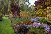 JOHN MASSEY GARDEN, ASHWOOD NURSERIES, WORCESTERSHIRE: SEPTEMBER, RIDE BEDS, BORDERS, ASTERS, DAHLIAS, MALUS AROS