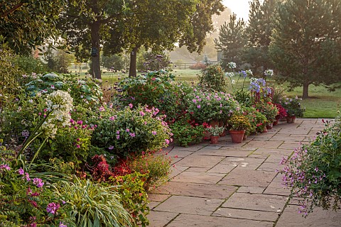 JOHN_MASSEY_GARDEN_ASHWOOD_NURSERIES_WORCESTERSHIRE_SEPTEMBER_BORDERS_PATIO_TERRACE_MEDITERRANEAN_GA