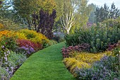 JOHN MASSEY GARDEN, ASHWOOD NURSERIES, WORCESTERSHIRE: ASTER ULTRAMARINE, IMPERATA RUBRA RED BARRON, MALUS AROS, NEPETA WALKERS LOW, BORDERS, CAREX EVERILLO, SEDUM MATRONA, BETULA