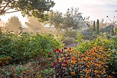 JOHN MASSEY GARDEN, ASHWOOD NURSERIES, WORCESTERSHIRE: SEPTEMBER, BORDERS, GREENHOUSE, HELIOPSIS BURNING HEARTS, DAHLIA SUMMERWINE