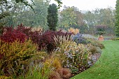 JOHN MASSEY GARDEN, ASHWOOD NURSERIES, WORCESTERSHIRE: SEPTEMBER, ERYNGIUM SILVER GHOST, BERBERIS THUNBERGII YELLOW ROCKET, ORANGE ROCKET, ASTERS, PENNISETUM DARK DESIRE
