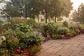 JOHN MASSEY GARDEN, ASHWOOD NURSERIES, WORCESTERSHIRE: SEPTEMBER, BORDERS, PATIO, TERRACE, MEDITERRANEAN GARDEN, CONTAINERS, AGAPANTHUS