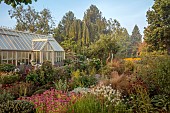 JOHN MASSEY GARDEN, ASHWOOD NURSERIES, WORCESTERSHIRE: SEPTEMBER, THE MEDITERRANEAN GARDEN, GREENHOUSE