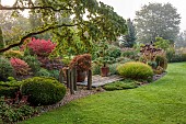 JOHN MASSEY GARDEN, ASHWOOD NURSERIES, WORCESTERSHIRE: SEPTEMBER, LAWN, BORDER, GRAVEL, DECK, DECKING, SLATE, CONTAINERS, MAPLES, GRASSSES, CONTAINER WITH AEONIUM ZWARTKOP