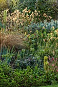 JOHN MASSEY GARDEN, ASHWOOD NURSERIES, WORCESTERSHIRE: SEPTEMBER, BORDER, ORNAMENTAL GRASSES, CALAMAGROSTIS EMODENSIS, AGAPANTHUS, EUPHORBIA