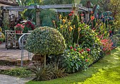 JOHN MASSEY GARDEN, ASHWOOD NURSERIES, WORCESTERSHIRE: SEPTEMBER: LAWN, TROPICAL BORDER, CANNA TROPICANA BLACK, DAHLIA, SALVIA CONFERTIFLORA, SALVIA OXYPHORA