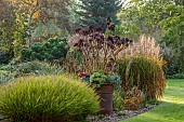 JOHN MASSEY GARDEN, ASHWOOD NURSERIES, WORCESTERSHIRE: SEPTEMBER, BORDER, LAWN, GRASSES, CONTAINER PLANTED WITH AEONIUM ZWARTKOP, SCHWARZKOPF