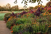 ASTON POTTERY, OXFORDSHIRE: BORDERS, SEPTEMBER, BORDER, HOT BORDER, RUDBECKIA AUTUMN FOREST, AMARANTHUS HOPI RED DYE, LOBELIA TUPA, ALSTROEMERIA, KNIPHOFIA FIERY RED, SALVIAS