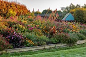 ASTON POTTERY, OXFORDSHIRE: BORDERS, SEPTEMBER, BORDER, HOT BORDER, RUDBECKIA AUTUMN FOREST, LOBELIA TUPA, ALSTROEMERIA, DAHLIAS, SALVIAS, CANNA