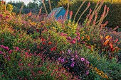 ASTON POTTERY, OXFORDSHIRE: BORDERS, SEPTEMBER, BORDER, HOT BORDER, RUDBECKIA AUTUMN FOREST, LOBELIA TUPA, ALSTROEMERIA, DAHLIAS, SALVIAS, CANNA