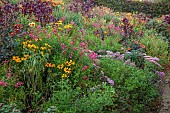 ASTON POTTERY, OXFORDSHIRE: BORDERS, SEPTEMBER, BORDER, HOT BORDER, RUDBECKIAS, PENSTEMON, SEDUM, DAHLIAS, AMARANTHUS HOPI RED DYE