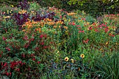 ASTON POTTERY, OXFORDSHIRE: BORDERS, SEPTEMBER, BORDER, HOT BORDER, AMARANTHUS HOPI RED DYE, ALSTROEMERIA, FUCHSIA, DAHLIA