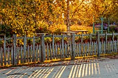 ASTON POTTERY, OXFORDSHIRE: BORDERS, SEPTEMBER, ORNAMENTAL WOODEN FENCE, FENCING, MORNING LIGHT, SHADOWS