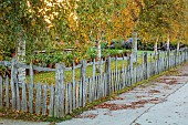 ASTON POTTERY, OXFORDSHIRE: BORDERS, SEPTEMBER, ORNAMENTAL WOODEN FENCE, FENCING BESIDE DRIVE