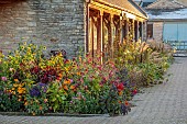 ASTON POTTERY, OXFORDSHIRE: BORDERS, SEPTEMBER, BORDER, ANNUALS, HELIOTROPE MARINE BLUE, CELESIA GOLDEN PLUME, RED PLUME, NICOTIANA, AMARANTHUS, HELIANTHUS SOLUNA BRONZE, CLEOME