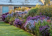 ASTON POTTERY, OXFORDSHIRE: BORDERS, SEPTEMBER, ASTERS, BRILLIANT, EZO MIRASAKI, ADA BALLARD, MARIE BALLARD, BARRS BLUE, LITTLE CARLOW, PENSTEMON KING GEORGE, INULA, HELIANTHUS