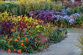 ASTON POTTERY, OXFORDSHIRE: BORDERS, SEPTEMBER, BORDER, ANNUALS, HELIOTROPE MARINE BLUE, CELESIA GOLDEN PLUME, RED PLUME, NICOTIANA, AMARANTHUS, HELIANTHUS SOLUNA BRONZE, CLEOME