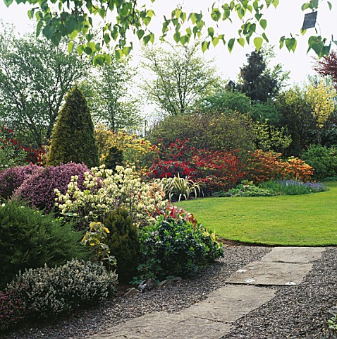 LISCANMOR_STEPPING_STONES_LEADING_TO_LAWN_BESIDE_MIXED_BORDERS_OF_CONIFERS__ERICAS__AZALEAS_LAKEMOUN