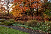 LLANOVER GARDEN, MONMOUTHSHIRE: OCTOBER, CURVED BORDER BESIDE PATH AND LAKE, STIPA GIGANTEA, AUTUMN COLOUR, TREES, FALL, SELINUM WALLICHIANUM