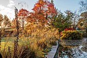 LLANOVER GARDEN, MONMOUTHSHIRE: OCTOBER, CURVED BORDER BESIDE PATH AND LAKE, STIPA GIGANTEA, AUTUMN COLOUR, TREES, FALL, SELINUM WALLICHIANUM