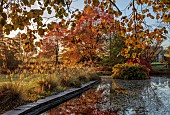LLANOVER GARDEN, MONMOUTHSHIRE: OCTOBER, CURVED BORDER BESIDE PATH AND LAKE, STIPA GIGANTEA, AUTUMN COLOUR, TREES, FALL, SELINUM WALLICHIANUM