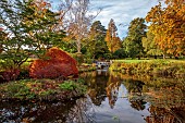 LLANOVER GARDEN, MONMOUTHSHIRE: AUTUMN COLOUR, FALL, OCTOBER, LAKE, POND, THE LOWER POND, POOLS, WATER, ACER PALMATUM DISSECTUM, TREES, CASCADE