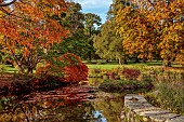 LLANOVER GARDEN, MONMOUTHSHIRE: AUTUMN COLOUR, FALL, OCTOBER, LAKE, POND, THE LOWER POND, POOLS, WATER, ACER PALMATUM DISSECTUM, TREES