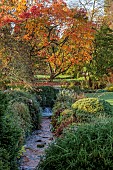 LLANOVER GARDEN, MONMOUTHSHIRE: AUTUMN COLOUR, FALL, OCTOBER, RILL, WATER, AUTUMN COLOUR, TREES, THE BOG GARDEN IN THE ROUND GARDEN