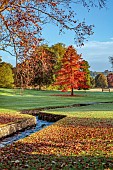 LLANOVER GARDEN, MONMOUTHSHIRE: AUTUMN COLOUR, FALL, OCTOBER, PARKLAND, LAWN, GRASS, STREAM, NYSSA SYLVATICA