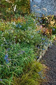 LLANOVER GARDEN, MONMOUTHSHIRE: WALLED, ROUND GARDEN, OCTOBER, BORDER, PATH, DOVECOTE, GRASSES, PERENNIALS, SALVIAS, DAHLIA DAVID HOWARD
