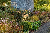 LLANOVER GARDEN, MONMOUTHSHIRE: WALLED, ROUND GARDEN, OCTOBER, BORDER, PATH, DOVECOTE, GRASSES, PERENNIALS, SALVIAS, DAHLIA DAVID HOWARD, BOX, BERGENIA, ASTERS, ARUNCUS HORATIO