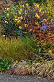 LLANOVER GARDEN, MONMOUTHSHIRE: BORDER IN THE WALLED, ROUND GARDEN: DAHLIA DAVID HOWARD, ARUNCUS HORATIO, PENNISETUM CASSIANS CHOICE, ASTER LITTLE CARLOW, HAKONECHLOA MACRA AUREOLA