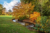 LLANOVER GARDEN, MONMOUTHSHIRE: AUTUMN COLOUR, FALL, OCTOBER, STREAM, LOWER ARBORETUM, STREAM, WATERFALL, TREES, CORNUS SERICEA FLAVIRAMEA