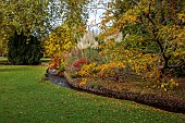 LLANOVER GARDEN, MONMOUTHSHIRE: AUTUMN COLOUR, FALL, OCTOBER, STREAM, LOWER ARBORETUM, TREES, PAMPAS GRASS, RHUS