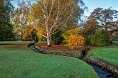 LLANOVER GARDEN, MONMOUTHSHIRE: OCTOBER, STREAM, BIRCH, BETULA UTILIS SUBSP. ALBOSINENSIS, TREES, STREAM, LAWN , GRASS, WATER