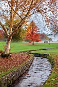 LLANOVER GARDEN, MONMOUTHSHIRE: OCTOBER, FALL, STREAM, BIRCH, BETULA UTILIS SUBSP. ALBOSINENSIS, NYSSA SYLVATICA, TREES, LAWN, PARKLAND