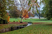 LLANOVER GARDEN, MONMOUTHSHIRE: OCTOBER, FALL, STREAM, BIRCH, BETULA UTILIS SUBSP. ALBOSINENSIS, NYSSA SYLVATICA, TREES, LAWN, PARKLAND, BRIDGE