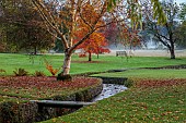 LLANOVER GARDEN, MONMOUTHSHIRE: OCTOBER, FALL, STREAM, BIRCH, BETULA UTILIS SUBSP. ALBOSINENSIS, NYSSA SYLVATICA, TREES, LAWN, PARKLAND