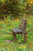 EVENLEY WOOD GARDEN, NORTHAMPTONSHIRE: OCTOBER, AUTUMN, FALL, TREES, MEADOW OF RUDBECKIA HIRTA MY JOY, WOODEN BENCH, SEAT