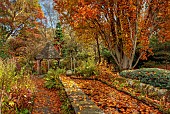 YORK GATE GARDEN, YORKSHIRE: AUTUMN, FALL, TREES, CANAL GARDEN, LEAVES, FOLIAGE, RILL, RAISED WATER FEATURE, GAZEBO, PATH, FERNS, TRAINED CYPRESS
