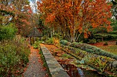 YORK GATE GARDEN, YORKSHIRE: AUTUMN, FALL, TREES, CANAL GARDEN, LEAVES, FOLIAGE, RILL, RAISED WATER FEATURE, GAZEBO, PATH, FERNS, TRAINED CYPRESS
