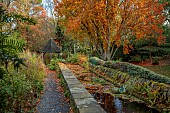 YORK GATE GARDEN, YORKSHIRE: AUTUMN, FALL, TREES, CANAL GARDEN, LEAVES, FOLIAGE, RILL, RAISED WATER FEATURE, GAZEBO, PATH, FERNS, TRAINED CYPRESS