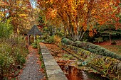 YORK GATE GARDEN, YORKSHIRE: AUTUMN, FALL, TREES, CANAL GARDEN, LEAVES, FOLIAGE, RILL, RAISED WATER FEATURE, GAZEBO, PATH, FERNS, TRAINED CYPRESS