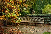 YORK GATE GARDEN, YORKSHIRE: AUTUMN, FALL, TREES, CANAL GARDEN, LEAVES, FOLIAGE, RAISED WATER FEATURE, WOODEN BENCH, SEAT, TRAINED CYPRESS, MAGNOLIA