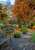 YORK GATE GARDEN, YORKSHIRE: AUTUMN, FALL, TREES, CANAL GARDEN, LEAVES, FOLIAGE, RAISED WATER FEATURE, WOODEN BENCH, SEAT, TRAINED CYPRESS