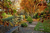 YORK GATE GARDEN, YORKSHIRE: AUTUMN, FALL, TREES, CANAL GARDEN, LEAVES, FOLIAGE, RAISED WATER FEATURE, WOODEN BENCH, SEAT, TRAINED CYPRESS