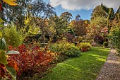 YORK GATE GARDEN, YORKSHIRE: AUTUMN, FALL, LAWN, THE POND GARDEN, FOLIAGE, TREES