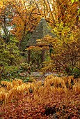 YORK GATE GARDEN, YORKSHIRE: AUTUMN, FALL, THE DELL, LEAVES, FOLIAGE, SHRUBS, TREES, SOLOMONS SEAL, POLYGONATUM ODORATUM, GAZEBO