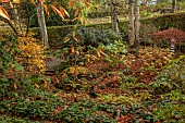 YORK GATE GARDEN, YORKSHIRE: AUTUMN, FALL, THE DELL, LEAVES, FOLIAGE, SHRUBS, TREES, HEDGES, HEDGING