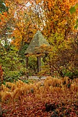 YORK GATE GARDEN, YORKSHIRE: AUTUMN, FALL, THE DELL, LEAVES, FOLIAGE, SHRUBS, TREES, SOLOMONS SEAL, POLYGONATUM ODORATUM, GAZEBO